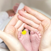 Tentang Bayi