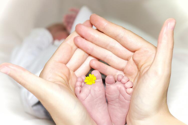 Tentang Bayi